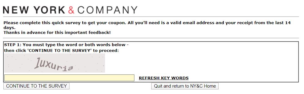 New York and Company survey homepage