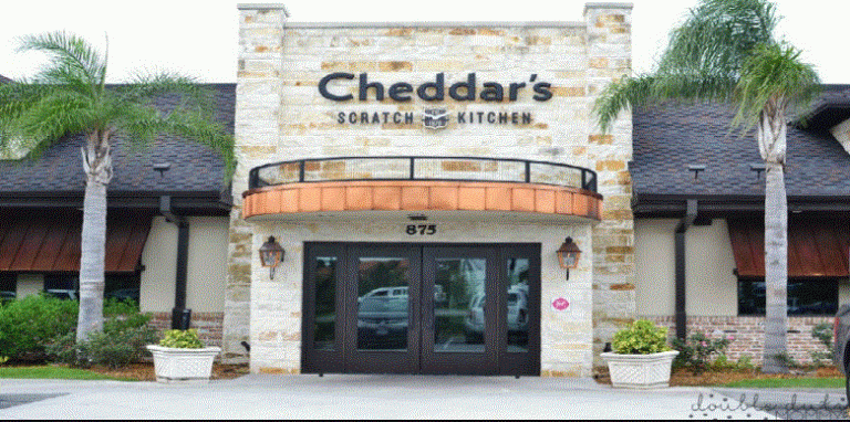 Cheddars Feedback