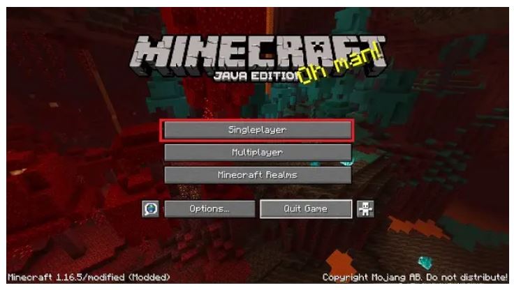 Minecraft SinglePlayer Option